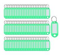 SagaSave Key Tags 100 Pieces Keyring Tags Key Labels Plastic Key Fobs Id Tags Key Rings Name Tags Luggage Id Labels With Labels Split Ring Keyring (Green)