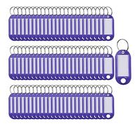 SagaSave Key Tags 100 Pieces Keyring Tags Key Labels Plastic Key Fobs Id Tags Key Rings Name Tags Luggage Id Labels With Labels Split Ring Keyring (Purple)