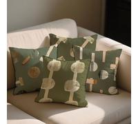 Sage Green Cushion Covers Abstract Cushions Covers 50x50 cm Set of 4 for Sofa Bed Square Decorative Pillow Cases Velvet Double Sided Printing Throw Pillow Case Indoor Room Decor,Gifts for Women b-1190