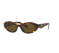 Sage-Honey Tortoise/Dark Brown / 55