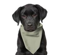 Sage Pet Bandana - S