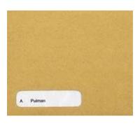 Sage SE45 Compatible Wage Envelope (Pack of 1000),Transparent,0.13 x 0.22 x 0.33 cm; 3.03 Kilograms