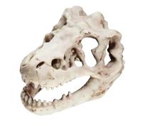 SAGELSHN Animal Anatomical Model Dinosaur Skull Model Simulated Decor For Anatomy Teaching Teaching Tool