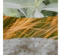 Sagewood and Seagrass