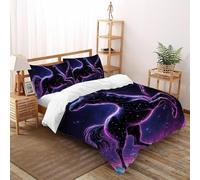 Sagittarius Quilt Cover Art Comforter Cover 2 Pieces Decorative Microfiber for Kids Boys Girls Teens with Zipper Closure Double（200x200cm）