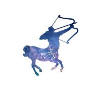 Sagittarius Sweatshirt - White - M - White