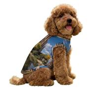 Sagrada Familia Cute Dog Shirts Summer Ice Silk Tank Top
