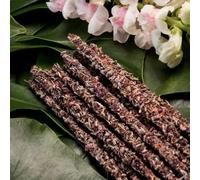 Sagrada Madre - Botanical - Lavender Rose. Incense Sticks