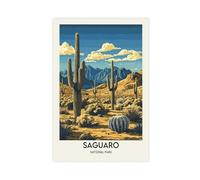 Saguaro National Park Arizona Poster Canvas Poster Bedroom Decor Landscape Office Room Decor Gift 20x30inch(50x75cm)