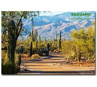 Saguaro National Park Nature Refrigerator Magnet Size 2.5'' x 3.5''
