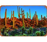 Saguaros at Dusk Saguaro National Park Photo Photograph Metal Tin Signs Room Stuff Wall Decor Sign 8x12 Inch