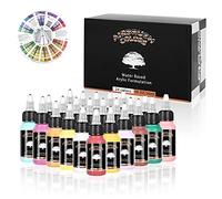 SAGUDIO Airbrush Acrylic Paint 24 x 30ml Basic Colors with Color Wheel Ready to Spray Water Based Painting for Models, Shoes, Leather, Wall and Glass