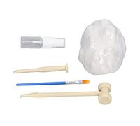 Sahgsa DIY Colosseum Design Excavation Kit with Premium Materials for Kids Learning Science
