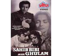 Sahib Biwi Aur Ghulam [DVD] [NTSC]