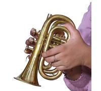 Sai Musical Pocket Trumpet 3 Valve'S Pro Shinning Brass With Mouth Piece Case