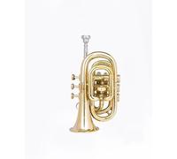 Sai Musical Pocket Trumpet 3 Valve'S Pro Shinning Brass With Mouth Piece Case