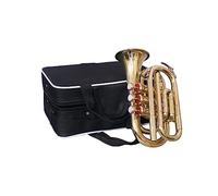 Sai Musicals Bb Pocket Trumpet Horn in Brass Finish with Mouthpiece & Carrying Hardcase, Practise Mute for Students & Advance Level, Perfect Cornet Gift For Birthday, Christmas (Gold)