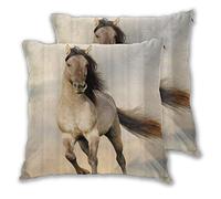 SAIAOS 2 Pack Throw Pillow Covers,Wild Young Stallion Horse Running At Sunset,Decorative Pillows Cover Cushion Case for Couch/Chair,65x65cm