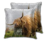 SAIAOS Cushion Cover 50x50cm,Highland Cow With Brown Hair,Set of 2 Decorative Square Throw Pillow Covers for Living Room Sofa Couch Chair Bed