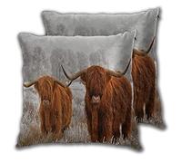 SAIAOS Cushion Cover 60x60cm,Two Brown Highland Cows In Snowy Grass,Set of 2 Decorative Square Throw Pillow Covers for Living Room Sofa Couch Chair Bed