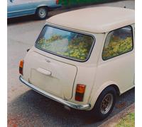 Said the Whale Dandelion (CD) (US IMPORT)