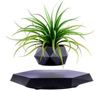 SaiDuoDuo Wooden Levitating Plant Pot, Magnetic Floating Display, Levitating Decor for Home & Office, Black