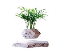SaiDuoDuo Wooden Levitating Plant Pot, Succulent Pots Planter Cactus Planter, Levitating Decor for Home & Office Magnetic Floating Levitating Display,Marble