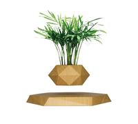SaiDuoDuo Wooden Levitating Plant Pot, Succulent Pots Planter Cactus Planter, Levitating Decor for Home & Office Magnetic Floating Levitating Display,Brown
