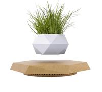SaiDuoDuo Wooden Levitating Plant Pot, Succulent Pots Planter Cactus Planter, Levitating Decor for Home & Office Magnetic Floating Levitating Display (white)