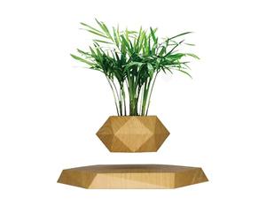 SaiDuoDuo Wooden Levitating Plant Pot, Succulent Pots Planter Cactus Planter, Levitating Decor for Home & Office Magnetic Floating Levitating Display,Brown