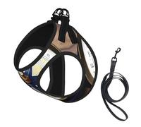 Sail Boat Nautical Compass Print Pet Leash Vest,Breathable Mesh Pet Harness, Reflective For Small Medium Dogs Safe Easy Walking