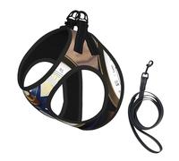 Sail Boat Nautical Compass Print Soft Mesh Dog Harness and Leash Set Pet Puppy Cat Comfort Padded Vest No Pull Harnesses