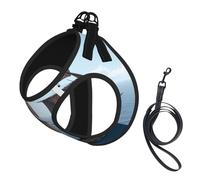 Sailing Boats in The Ocean Dog Harness - Equipped with Reflective Straps and Quick Release Buckles - Suitable for Small Cats and Dogs
