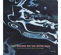 Sailing on the seven seas (1991) / Vinyl single [Vinyl-Single 7'']