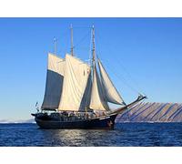 Sailing Ship Boat Blank Greeting Card