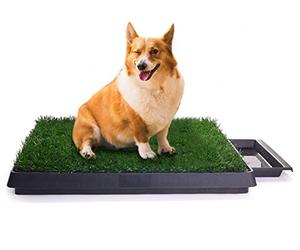 Sailnovo Dog Litter Tray Genuine Grass Puppy Toilet Training Pads for Small, Large, Elderly Dogs Indoor Pet Toilet 63x 50 x 7 cm (L x W x H)