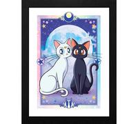 Sailor Moon Luna & Artemis Framed Image coloured Onesize