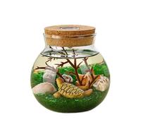 Saim 4.33 Inch Glass Terrarium with LED Light & Cork Lid, Transparent Tabletop Glass Planter Jar for Succulent, Hydroponic Plants, Air Plants - DIY Water Planting, Home Office Decoration Crafts