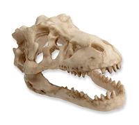 Saim Aquarium Ornaments, Large Dinosaur Skull Decorations Non-Toxic Vivarium Decoration Emulational Reptile Hide Aquarium Cave For Reptile and Fish
