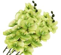 SAING S A I N G 4 Pcs Silk Artificial Orchid Flowers Stem, 8 Heads Faux Phalaenopsis Flowers Branches 27.5'' Artificial Flowers Plants for Pots Vase Decor (Green)