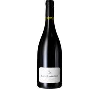 Saint Amour 2024 - Jean Paul Brun - Domaine Des Terres Dorées