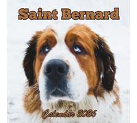 Saint Bernard Calendar 2026: 12 Months Organizer From January to December