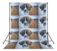 Saint Bernard Dog, Photography Backdrop Photo Props 5x7FT Photo Background for Party Home Decoration