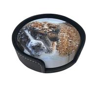 Saint Bernard Dog,Set of 6 Round Coasters, Pu Leather Drinks Coasters with Holder for Home Office Kitchen