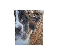 Saint Bernard Dog, Squeeze Top Wallet Women Storage Bag Small Coin Purse Change Pouch