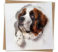 Saint Bernard Greeting Card - Funny Dog Head Through Wall Greeting Birthday Card with Kraft Envelope