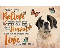 Saint Bernard When You Believe Beyond What Your Eyes Can See Front Doormats Super Absorbent Welcome Mat Shoes Scraper Floor Mats For Front Back Door Dogs Patio 40 X 60Cm
