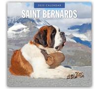Saint Bernards 2025 Square Wall Calendar: Original Red Robin Publishing Ltd-Kale