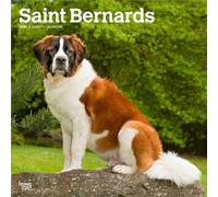 Saint Bernards | 2026 12 x 24 Inch (Hanging) Monthly Square Wall Calendar | Plastic-Free | BrownTrout | Animals Dog Breeds