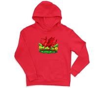 Saint Davids Day Hooded Sweatshirt Welsh Dragon Printed Hoodies for Kids, 9-11 Years, Red